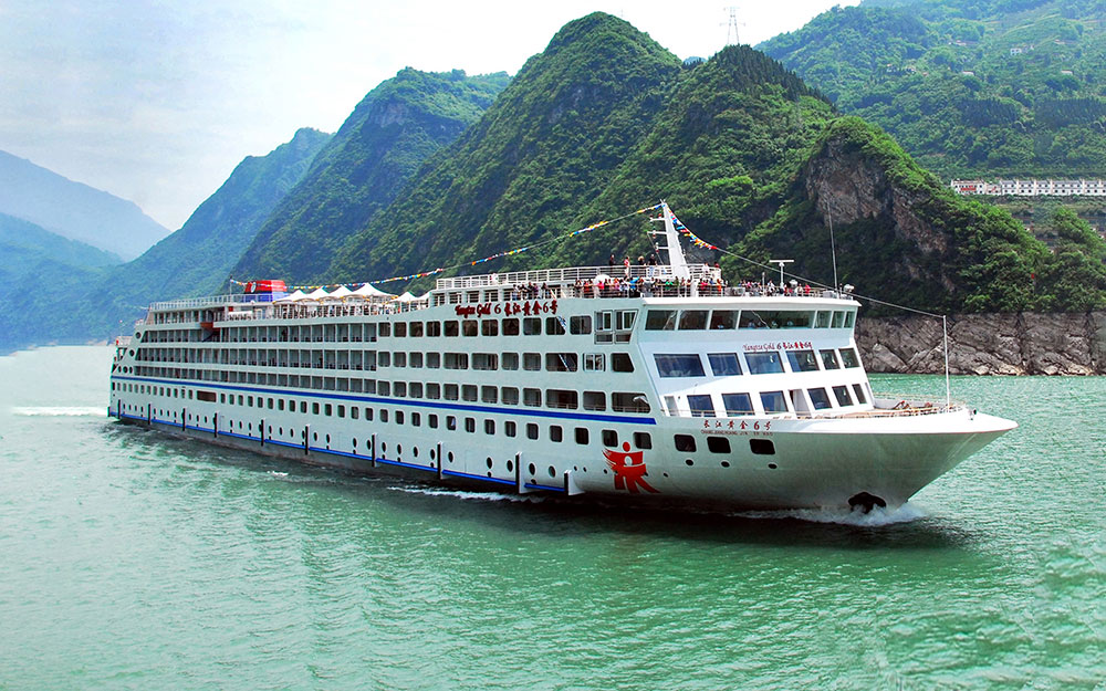 黃(huáng)金(jīn)6号