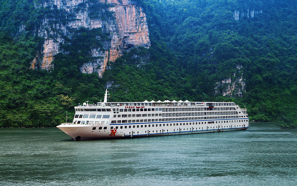 黃(huáng)金(jīn)5号